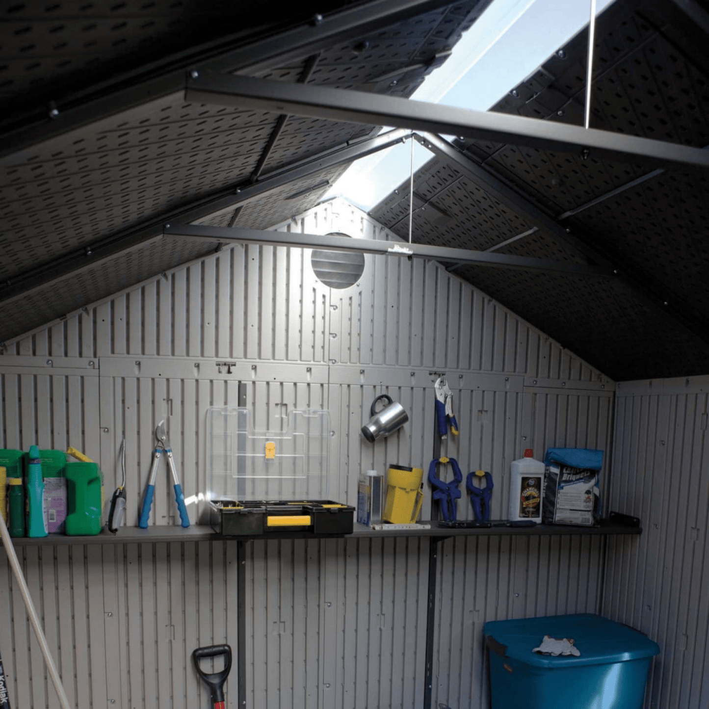 Lifetime 8 x 10 Special Edition Heavy-Duty Apex Plastic Shed