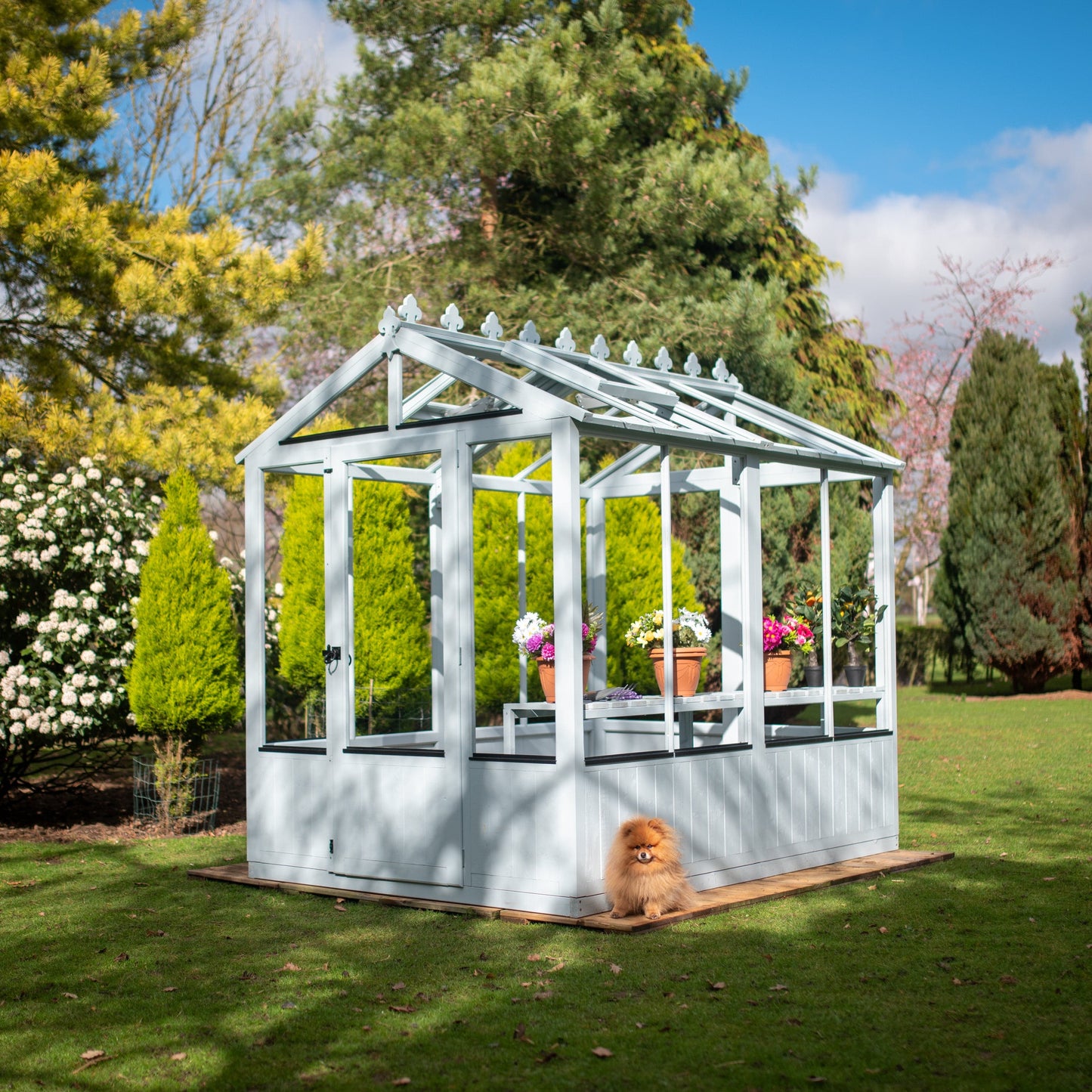 Shire Holkham 6 x 8 Wooden Greenhouse