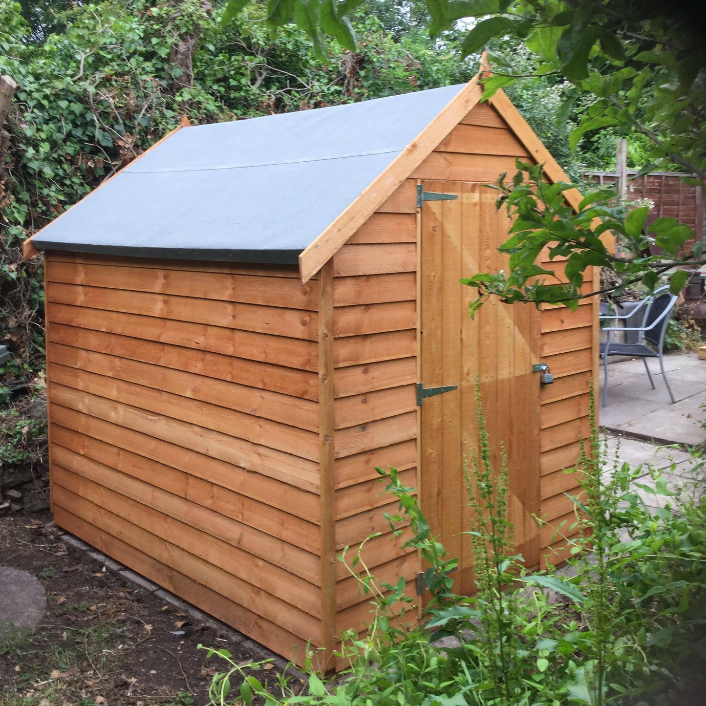 Shire 8x6 Overlap Dip Treated Single Door Windowless Shed